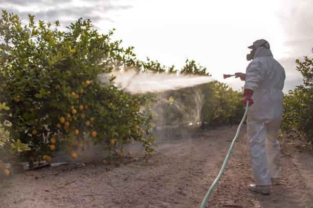 Best Affordable Pest Control Services  in Dennison, OH